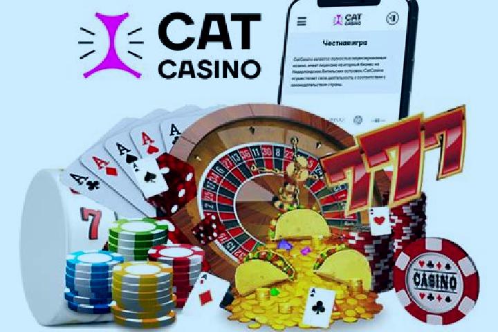 Cat Casino